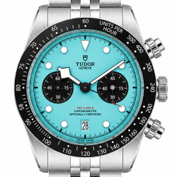 Tudor Flamingo 41MM M79360N-0024 Stainless Steel Watch